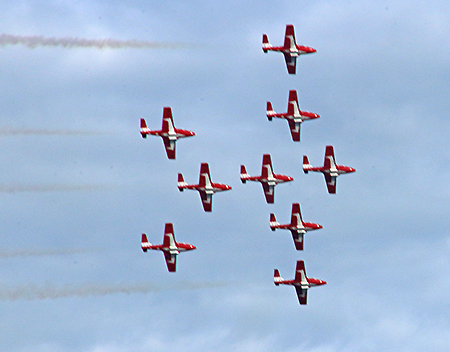 Snowbirds